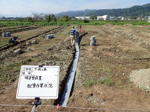 D6B53E09-CE9A-4EC9-9822-F2CB3C835C66.jpeg