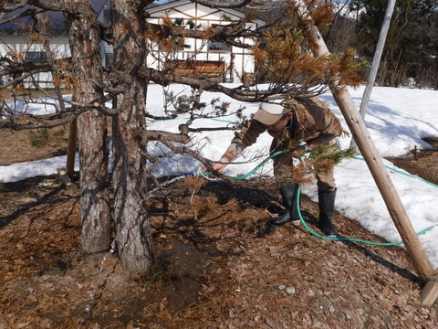 DSCF0475.JPG
