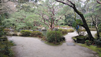 DSC_1870.JPG