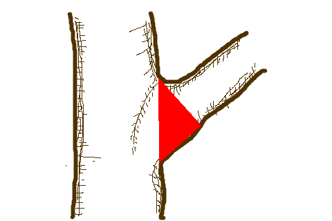 }@u`J[.bmp