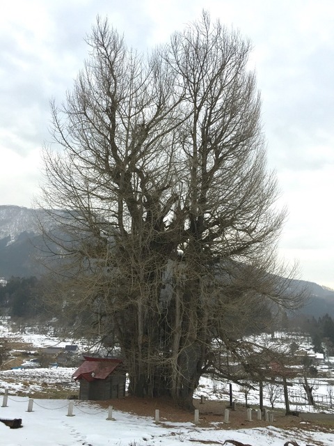 IMG_4058.JPG
