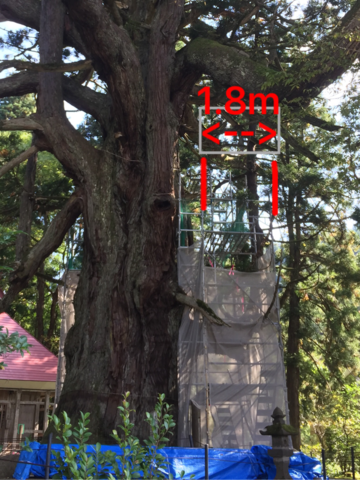 IMG_5707.PNG