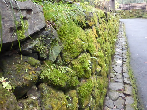 P1030071.JPG