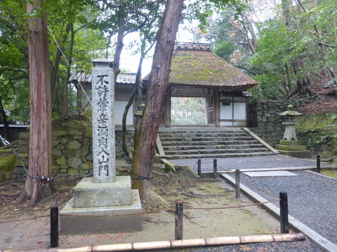 P1030078.JPG