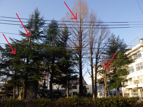 R0011630-2.JPG