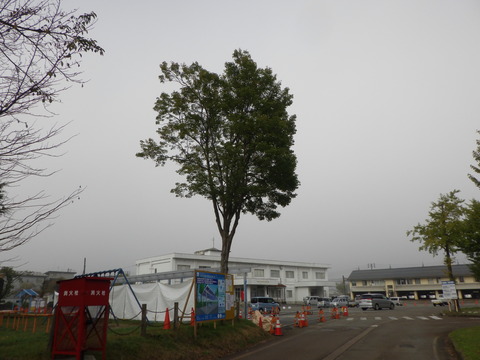 R0015256.JPG