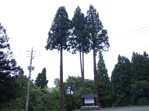 RIMG0570.JPG
