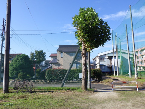 RIMG0605.JPG