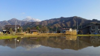 image-5d387.jpeg