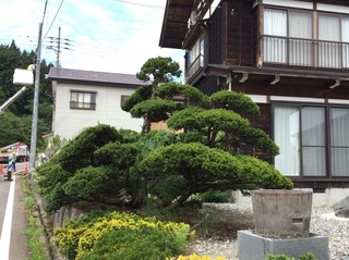 image-65c94.jpg