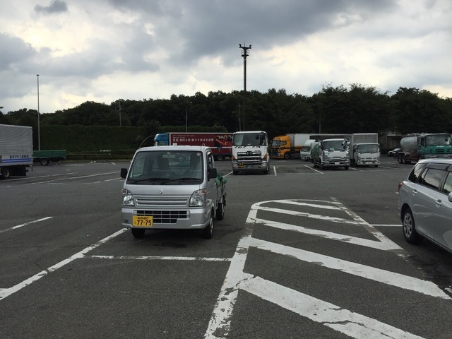 image-8d2f6.jpeg